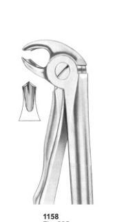  Fig. 22S lower molars for children 